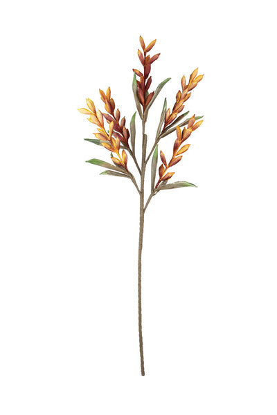 Botanica - Red Willow