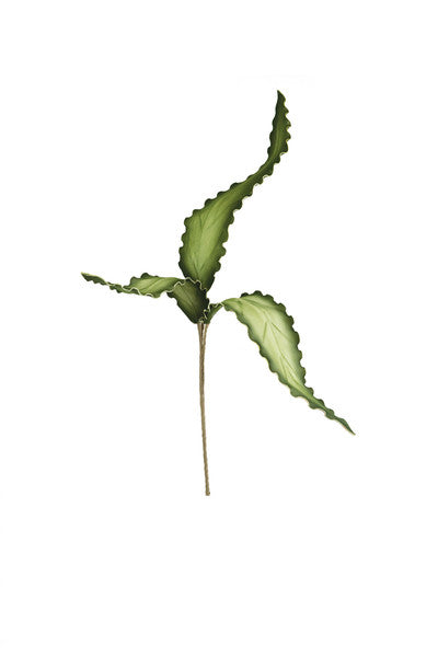 Botanica Faux Tropical Leaf