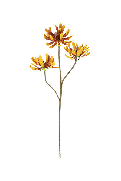 Botanica - Yellow Orange Daisy Flower