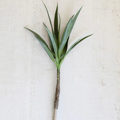 Botanica Agave Palm