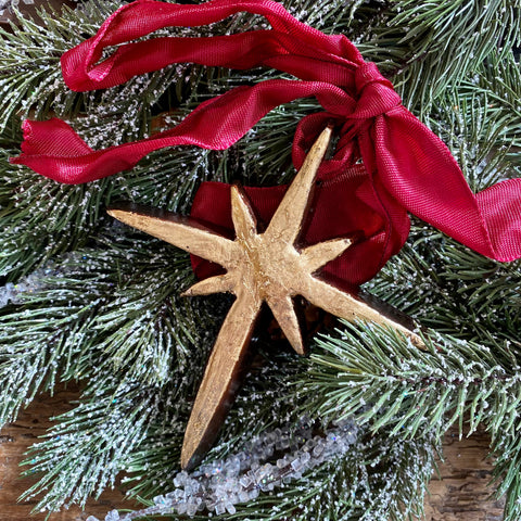Barbara Biel Star of Bethlehem Ornament