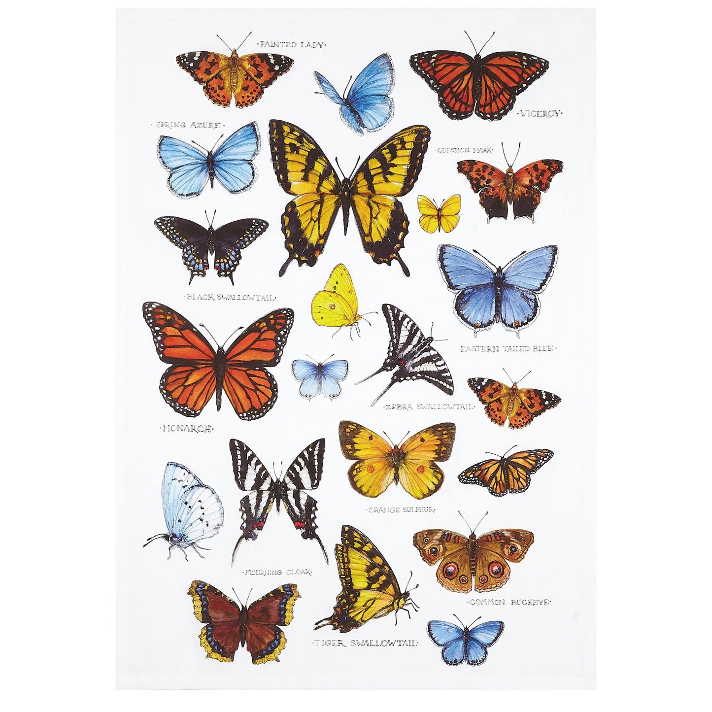 Field Guide Butterflies Kitchen Towel
